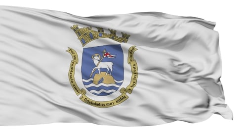 Realistic Waving Flag with Coat of Arms Animation