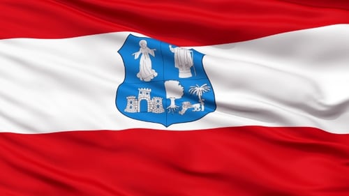 Realistic Waving Flag Animation with Detailed Coat of Arms