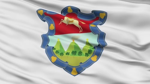 Realistic Waving Flag with Coat of Arms Loop Background Animation