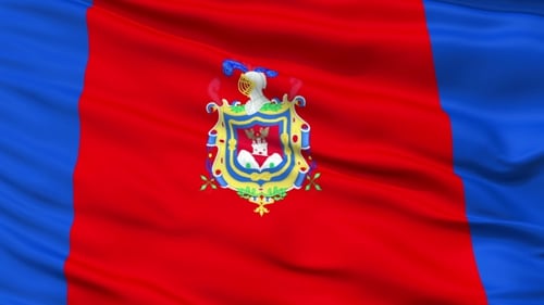 Animated Realistic Waving Flag with Coat of Arms