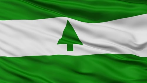 Waving Green and White Flag with Tree Symbol Animation