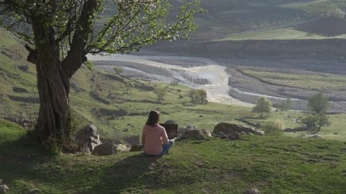 Woman Using Laptop in Scenic Rural Landscape