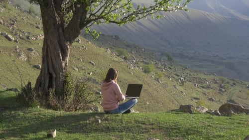 Woman Works on Laptop Under Tree in Mountains
