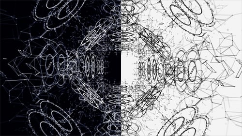 Plexus Abstract Black and White Hi-Tech Network