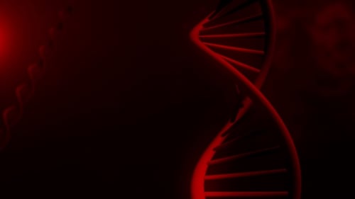 Red DNA Strand