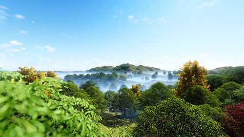 3D Animated Forest Panorama with Morning Mist and Clear Sky