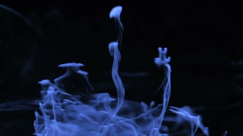 Bright Blue Abstract Streams Flowing on Dark Background