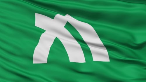 Realistic Green Flag Waving with Abstract White Symbol