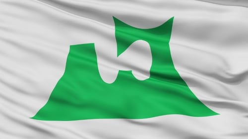 Seamless Waving Fabric with Abstract Green Geometric Shape