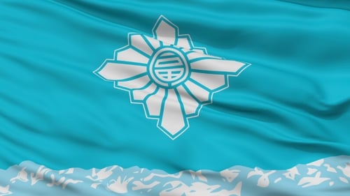 Waving Flag with Abstract Geometric Emblem Loop Animation