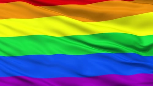 Gay Waving Flag