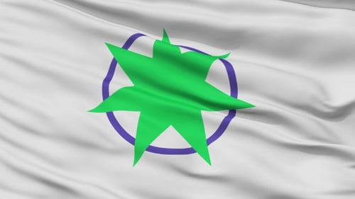 Animated Flag Waving with Green Star and Purple Circle
