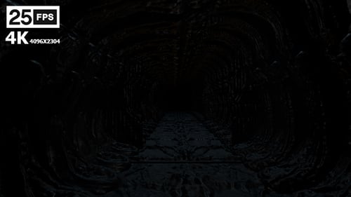 Dark Biomechanical Alien Tunnel Flythrough 3D Animation