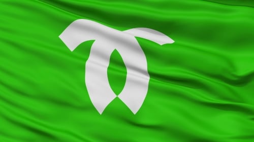 Green Waving Flag Animation with White Abstract Symbol