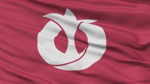 Iida City Japan Flag Waving Seamless Loop