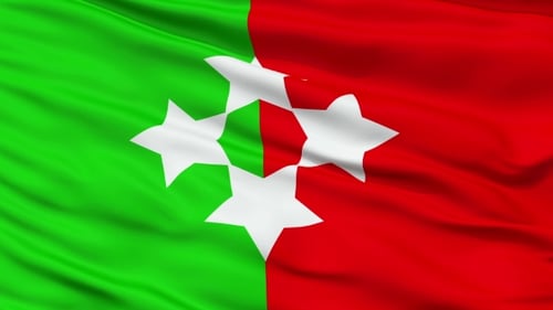 Green and Red Waving Flag with White Stars Geometric Pattern