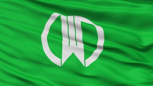Green Flag with White Symbol Waving Loop Animation