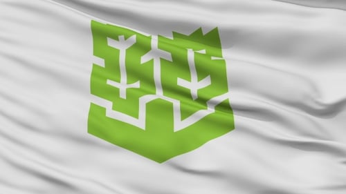 Realistic Waving Flag Animation with Abstract Green Emblem