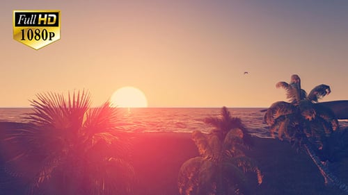 Tropical Beach Sunset
