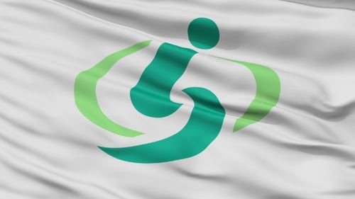 Realistic Waving Flag Animation with Abstract Green Symbol