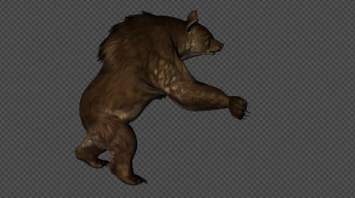 Realistic 3D Brown Bear Alpha Channel Animation