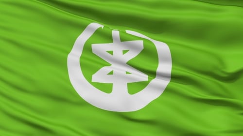 Green Flag Waving with White Abstract Logo Loop Animation