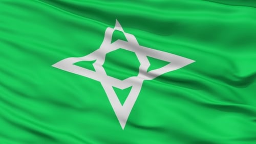 Waving Green Flag with White Geometric Star Symbol