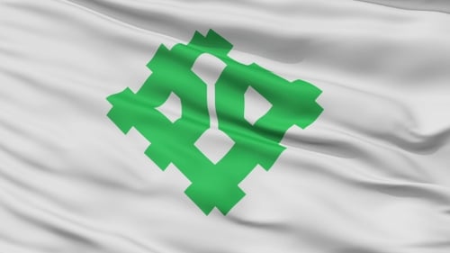 Waving White Flag with Green Emblem Animation