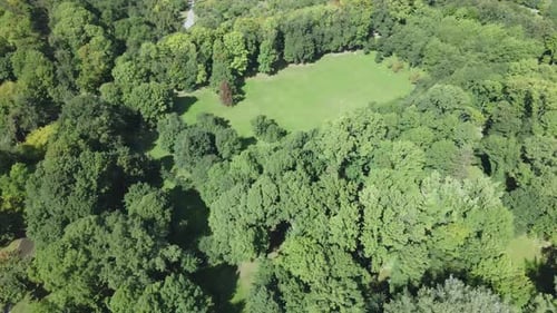 Walkways in the park area. Aerial photography.