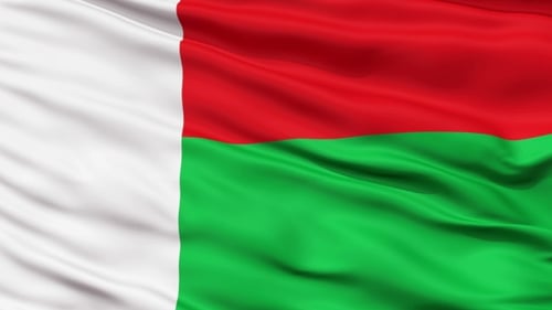 Realistic Madagascar Flag Waving Seamless Loop