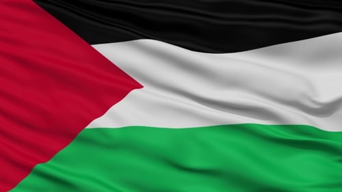 Realistic Waving Palestinian Flag Loop Animation