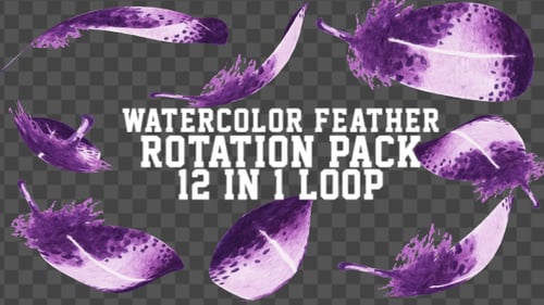Watercolor Feathers Rotating Loop Animation