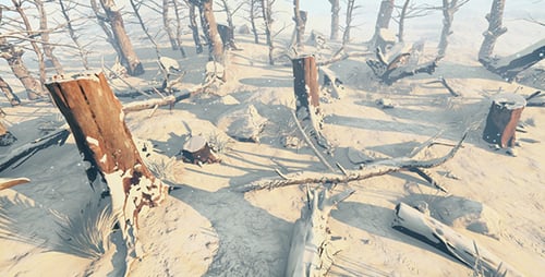 The Sawed-Down And Dry Forest