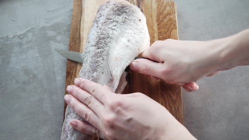 Hands Scaling a Fresh Fish with a Knife