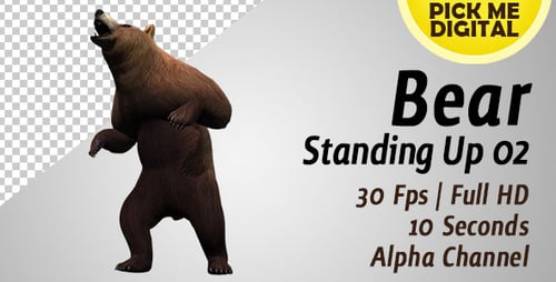 Animated 3D Bear Roaring and Walking Cycle