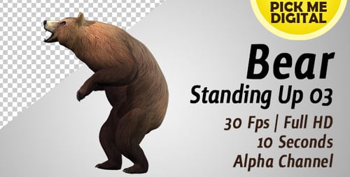 3D Animated Brown Bear Roaring