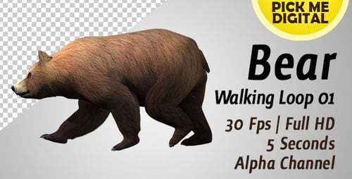 Bear Walking Loop 01
