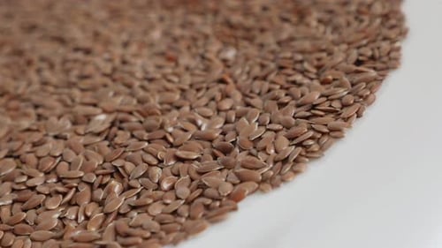 Flax Linum usitatissimum seed close-up 4K video