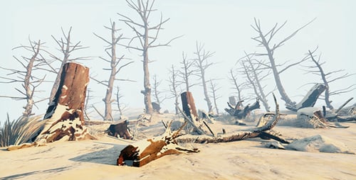 Dead Forest In Winter