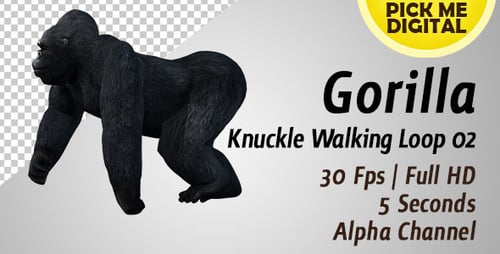 Gorilla Knuckle Gehschlaufe 02