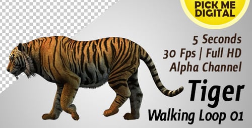Tiger-Gehschlaufe 01