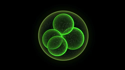 Medical Visuality. Micro Green Cell Able To Loop Seamless