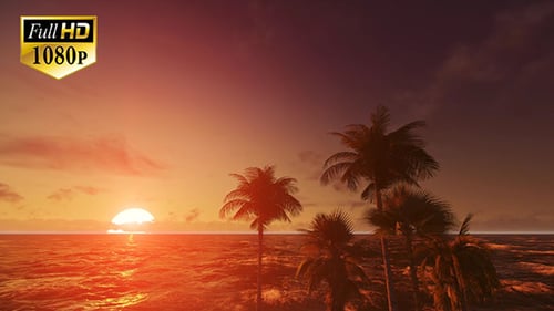 Tropical Beach Sunset 4
