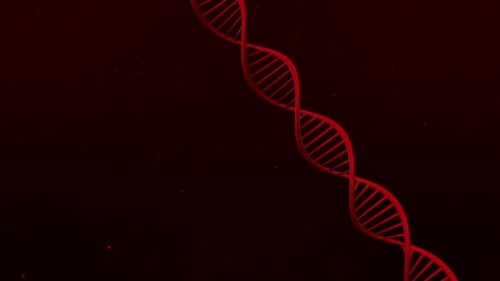 Rotating Red DNA Helix Modern Science Animation