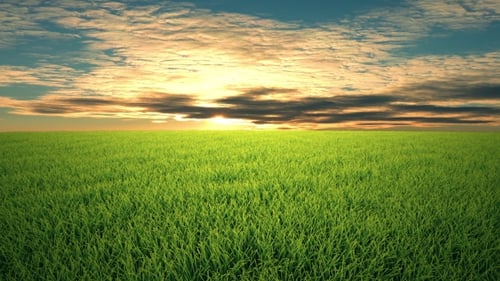 Vol au-dessus de l'herbe, coucher de soleil, Cloudscape