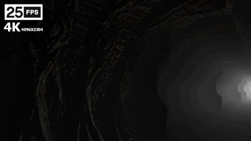 In Alien Ship 8 4K