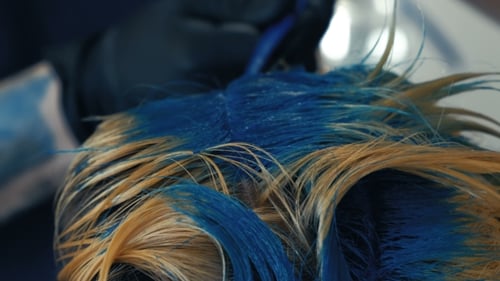 Applying Blue Hair Dye in Salon Close Up