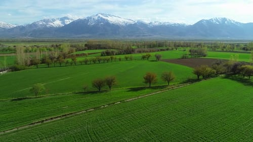 Landwirtschaftliche Luftaufnahme