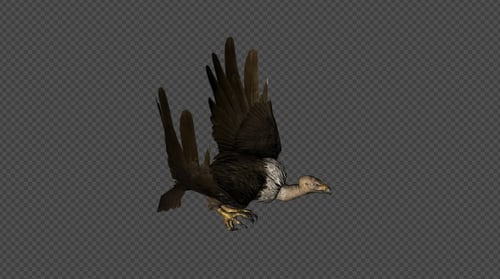 Buzzard Fly Disparing Pack 8 en 1