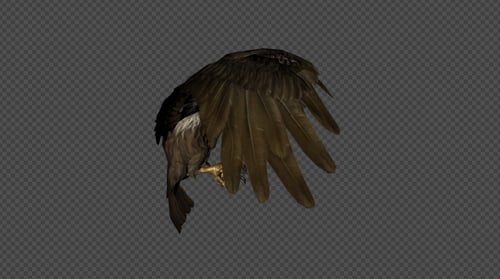 Buzzard Idle Pack 8 in 1
